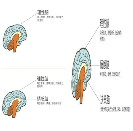 石家莊尚武科技,銷售腦培訓(xùn),網(wǎng)站建設(shè)營銷思路