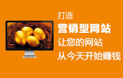 打造營(yíng)銷型網(wǎng)站